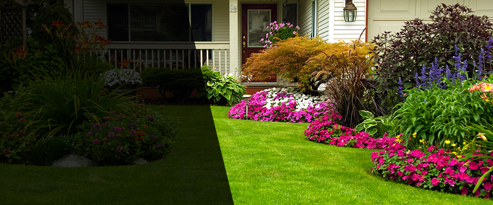 Shavertown Landscapers