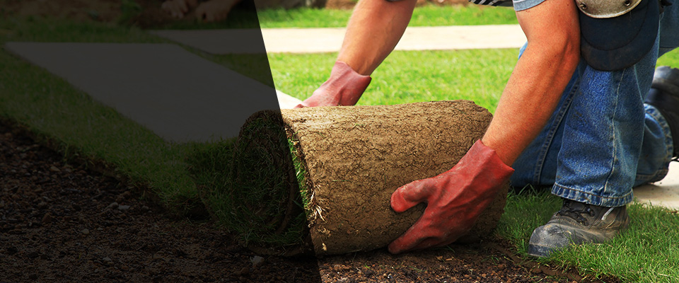 Shavertown Landscapers